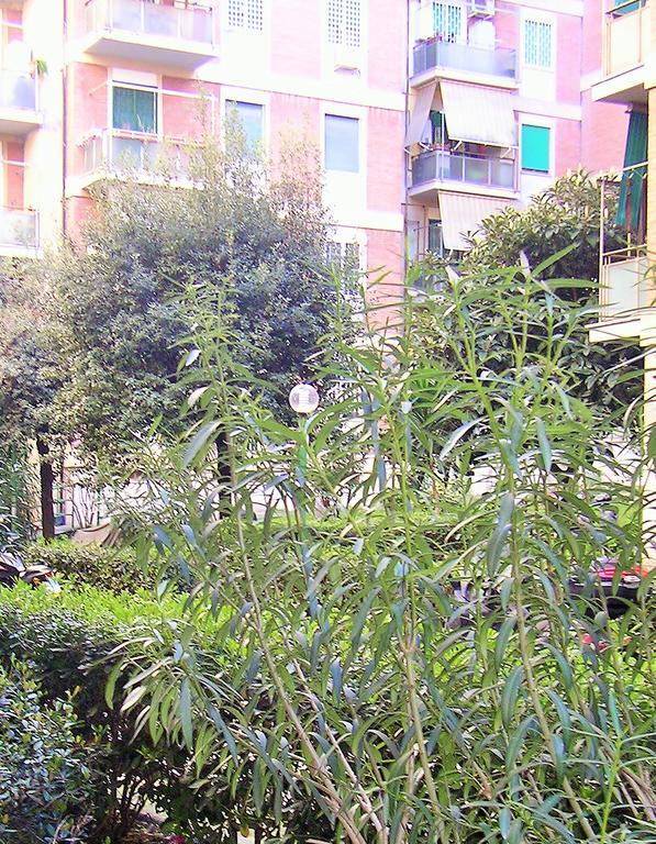 Whatshouse Roma Екстериор снимка